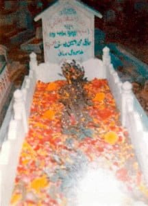 Grave of  Bhupat singh chauhan