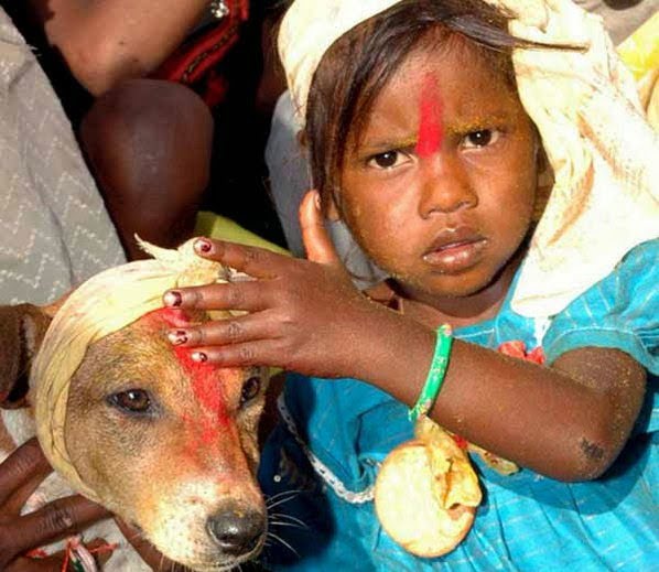 Weird Tradition : Child Marriage With Dog, Animal, Hindi, News, Story, Kahani, History, Itihas, Information, Jankari, India, Jharkhand, 