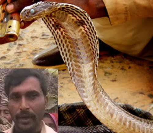 Real Hindi Snake Story