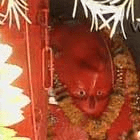 Ulte Hanuman Mandir, Sanwer, Indore