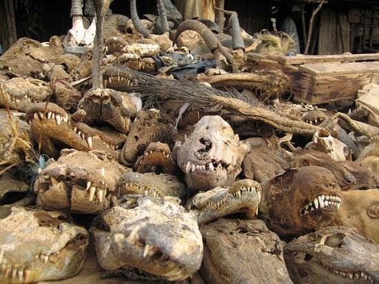 Hindi, News, Story, History, Akodessewa Fetish Market, Woodoo, Afriki Black Magic, Kala jadu, Togo,