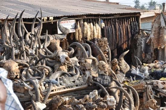 Akodessewa Fetish Woodoo Market in Hindi