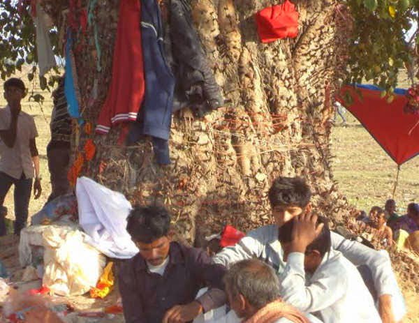 Ghost Fair of Bhagwati Devi Dham Information in Hindi 