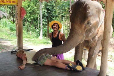 Elephant massage 3