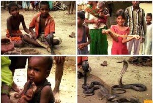 Indian Snake Village Story in Hindi