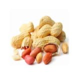 Health Benefits of Peanuts : रोज़ खाए मूंगफली के कुछ दाने, ये होंगे 10 बड़े फायदे