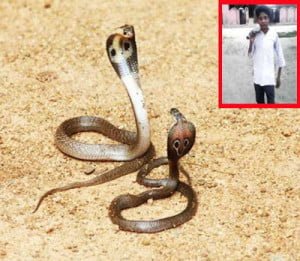 Real snake revenge story in Hindi 