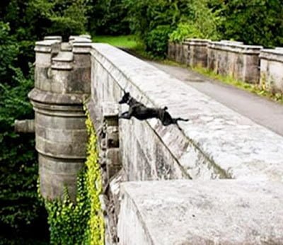 Dog Suicide Bridge, Mysterious Overtoun Bridge, Scotland, Hindi, Story, History, Kahani, Itihas, Rahasyamayi, 