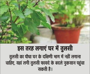 Vastu shastra tips for plants and trees in Hindi 
