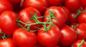 Tomato - Amazing food to reduce weight