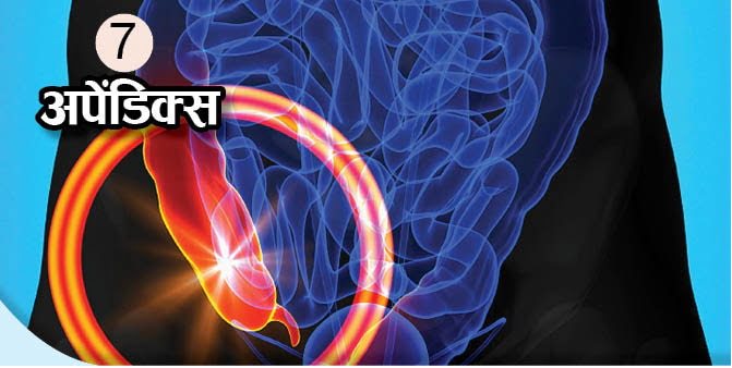 What Is The Function Of These Body Organs