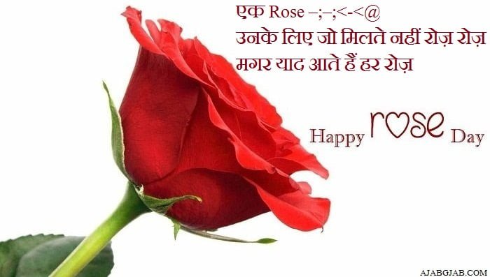 Happy Rose Day Wishes In Hindi