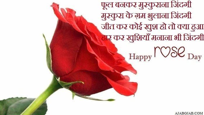 Happy Rose Day Wishes In Hindi