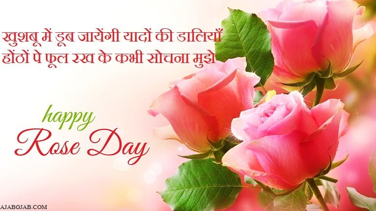 Rose Day Shayari