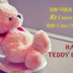 Teddy Bear Day Wishes In Hindi