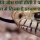 Mahabharata Snake Story In Hindi