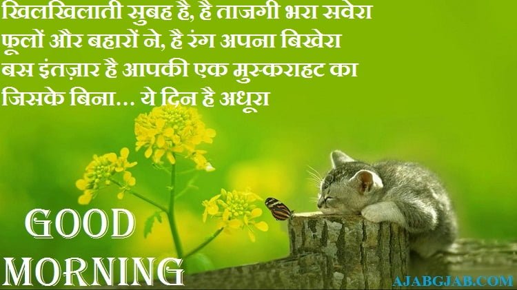 Happy Good Morning In Hindi
