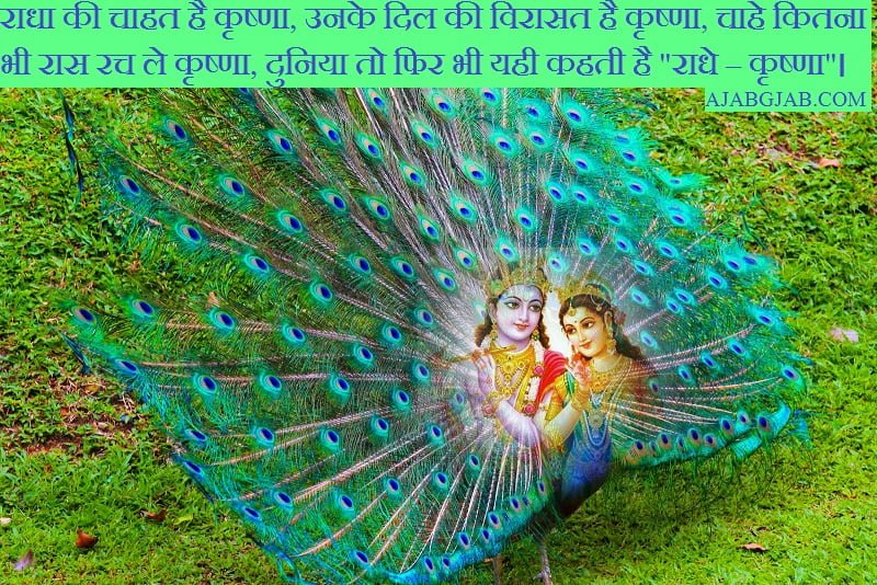 Radha Ashtami Wishes In Hindi