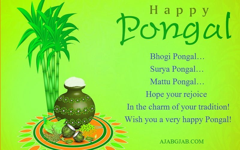 Happy Pongal Messages