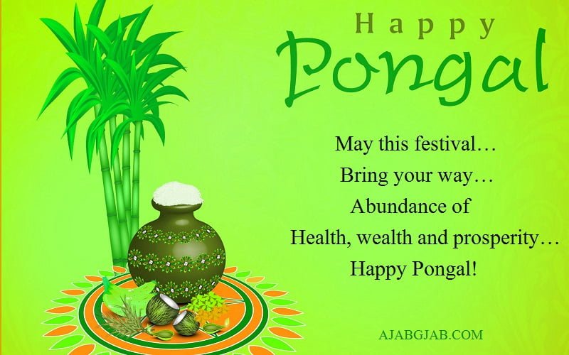 Happy Pongal Wishes