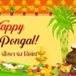 Pongal Essay In Hindi