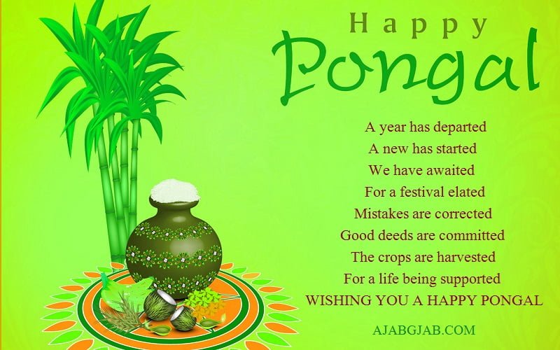 Pongal SMS