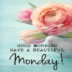Happy Monday Good Morning Hd Pictures