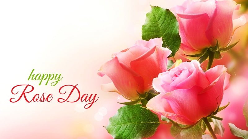Happy Rose Day Greetings
