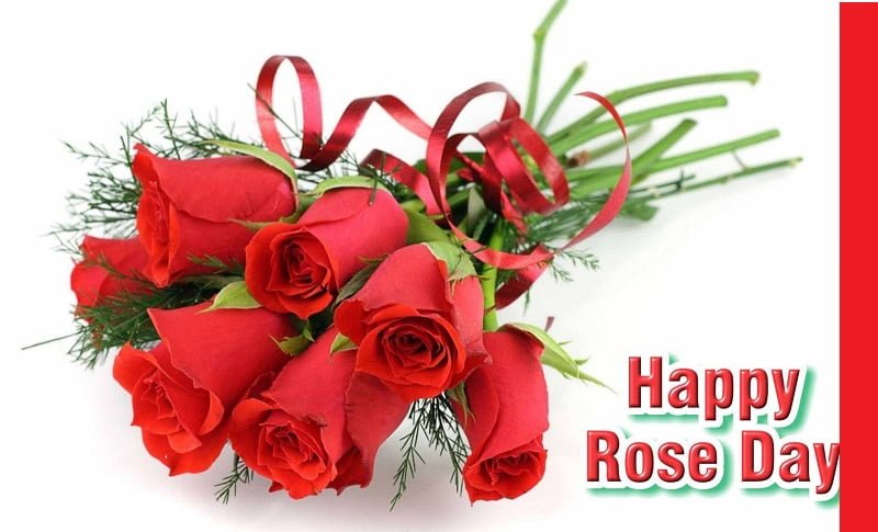 Happy Rose Day Hd Wallpaper