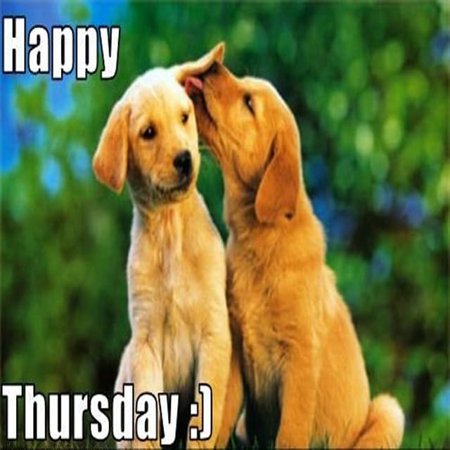 Happy Thursday Hd Pictures For WhatsApp