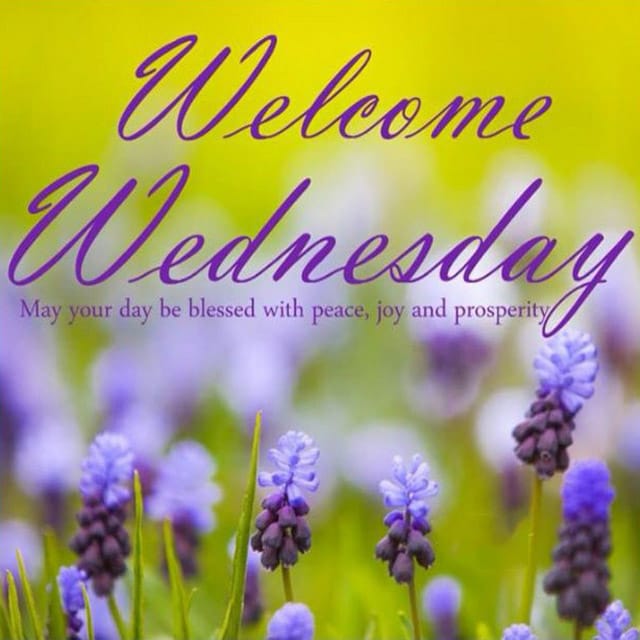 Happy Wednesday Hd Wallpaper For Facebook