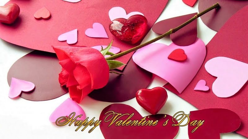 Valentine Day Hd Wallpaper Valentine Day Hd Wallpaper