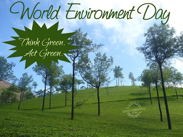 Happy Environment Day Images For WhatsApp