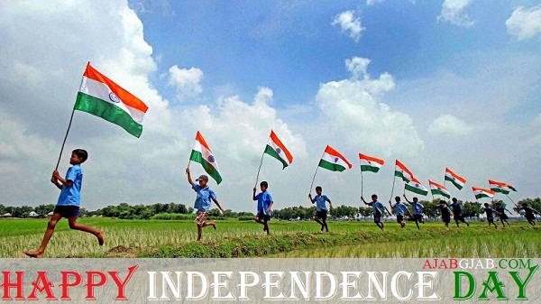 Happy Independence Day Hd Wallpaper