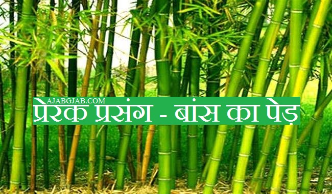 Prerak Prasang - Bans Ka Ped