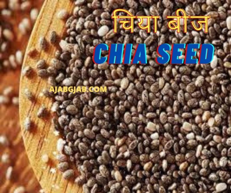 Chia Seeds In Hindi, Facts, FAQ, Nutritional Value, Benifits