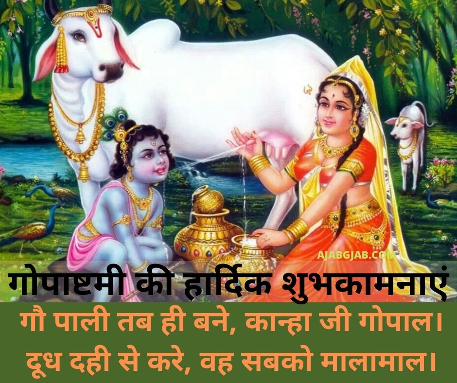 Happy Gopashtami sms message wishes - Lovexpose wallpaper love sms message  quotes wishes 2016 Hindi Marathi English whatsapp fb status