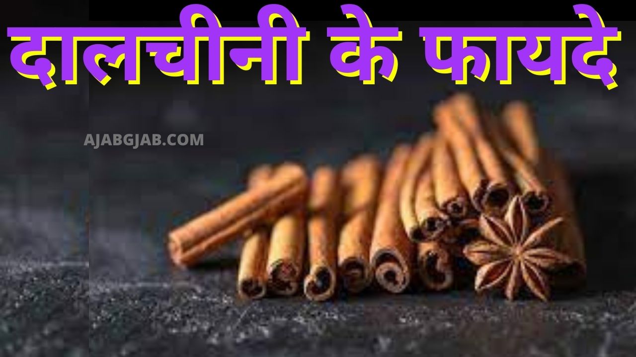 Dalchini Ke Fayde
